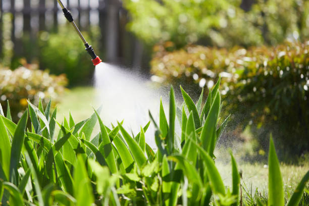 24/7 Emergency Mosquito Control experts in Beattystown, NJ