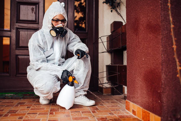 Reliable Mosquito Control contractor in Beattystown, NJ by Show Me Pest Control